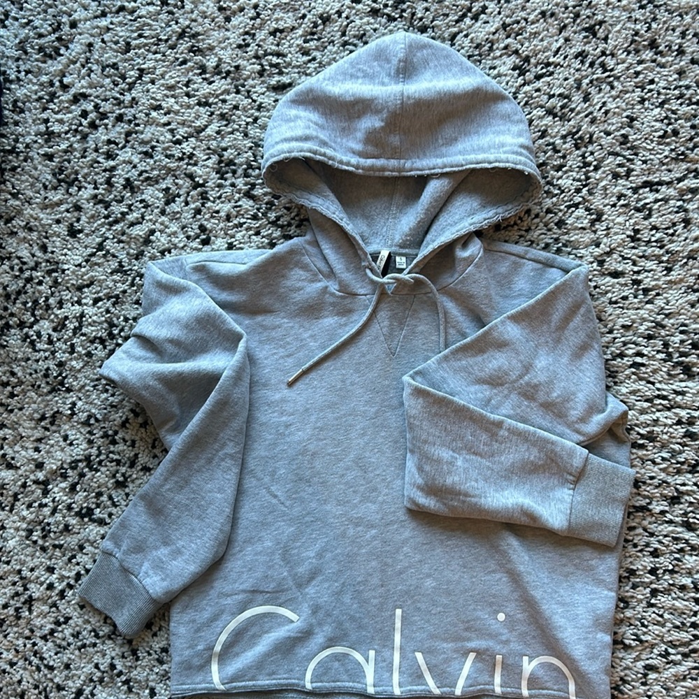 Crop hoodie basically brand new